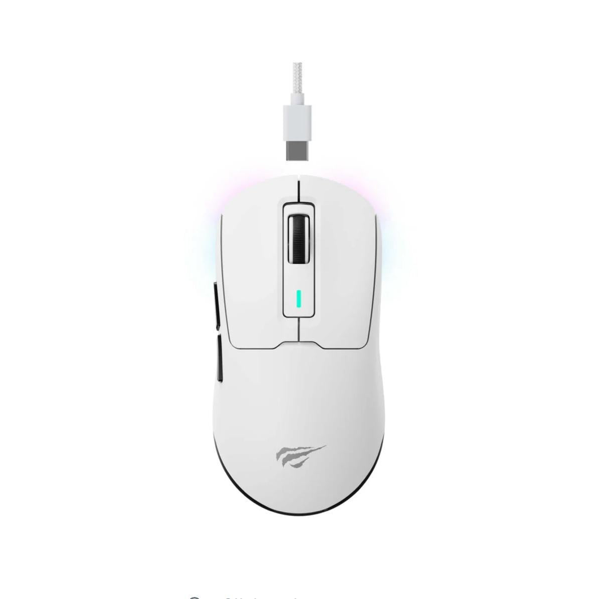 Havit MS969SE Wireless Gaming
Mouse